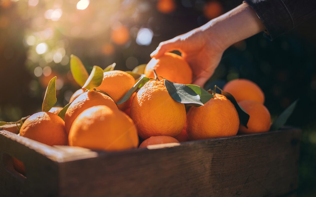 Vitamin C Dosage: How Much Do You Need?